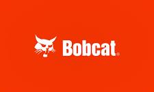 botcat